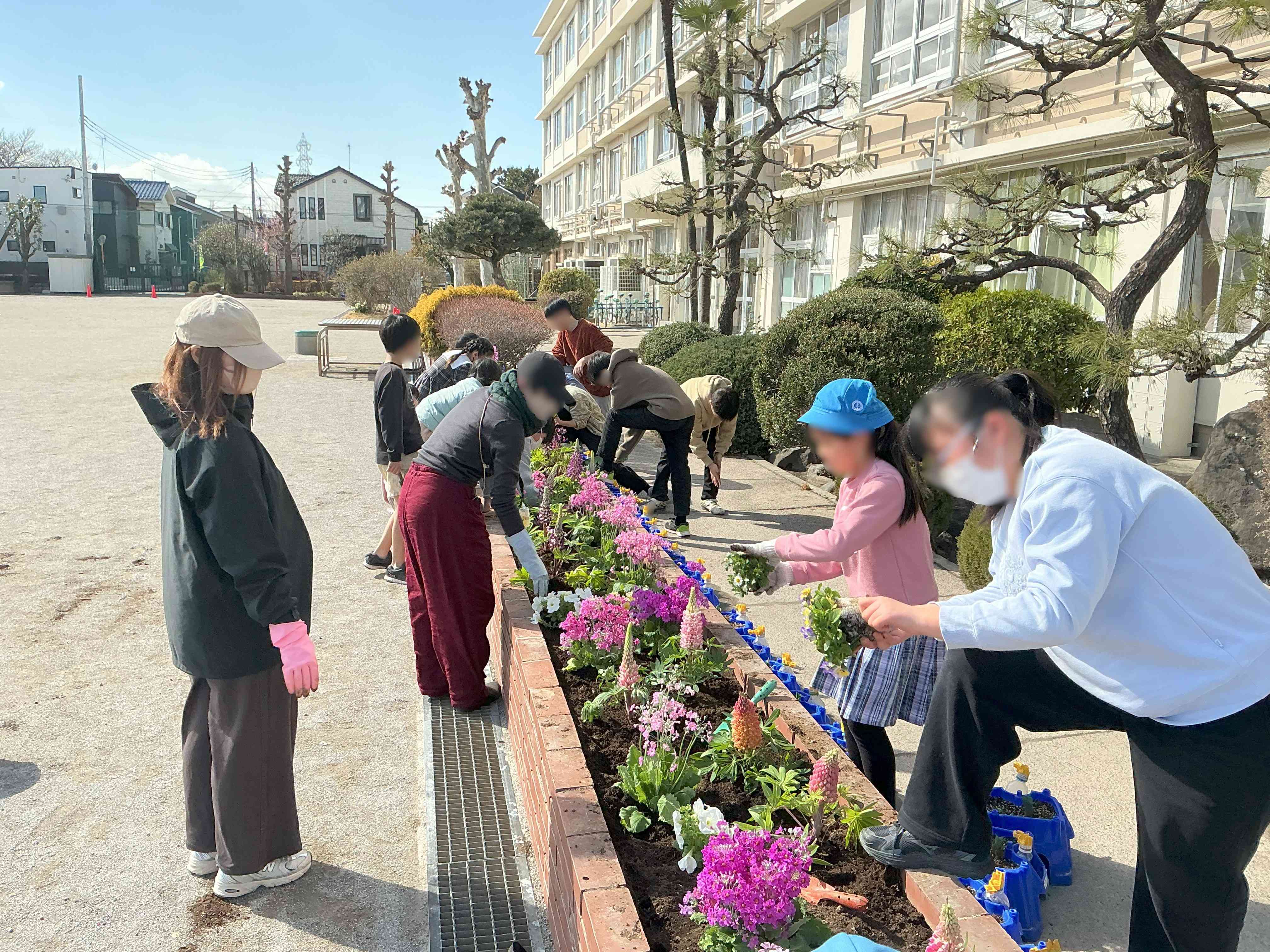 飼育栽培委員会①