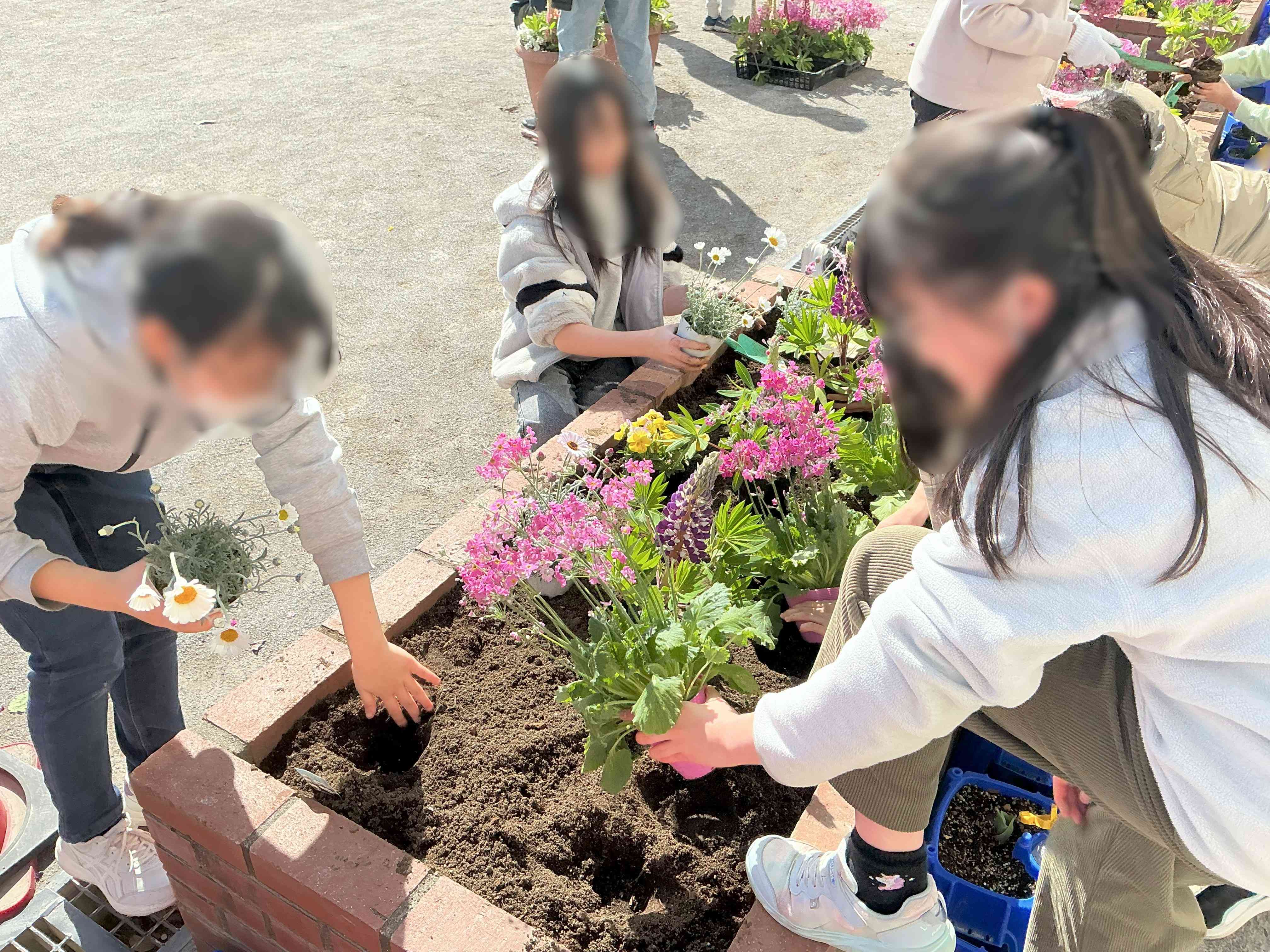 飼育栽培委員会②